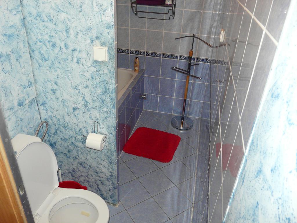 Apartment Fialka Olomouc Rum bild
